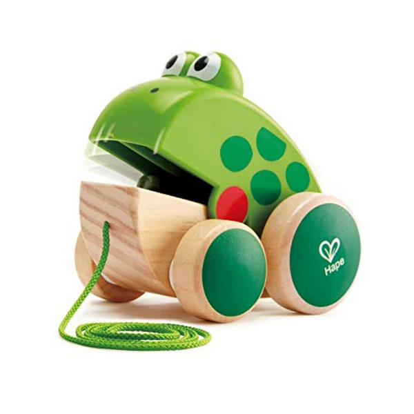 Holzspielzeug - Hape Nachziehfrosch Fridolin von Hape | Holzfrosch Fliegen fressendes Nachzieh-Spielzeug für Kleinkinder, leuchtende Farben - Einfach Baby